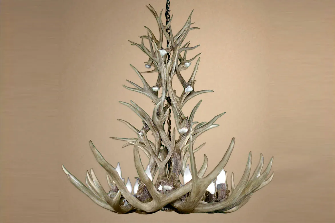 Antler Chandelier - 12 Light L Mule (37"W x 40"H)