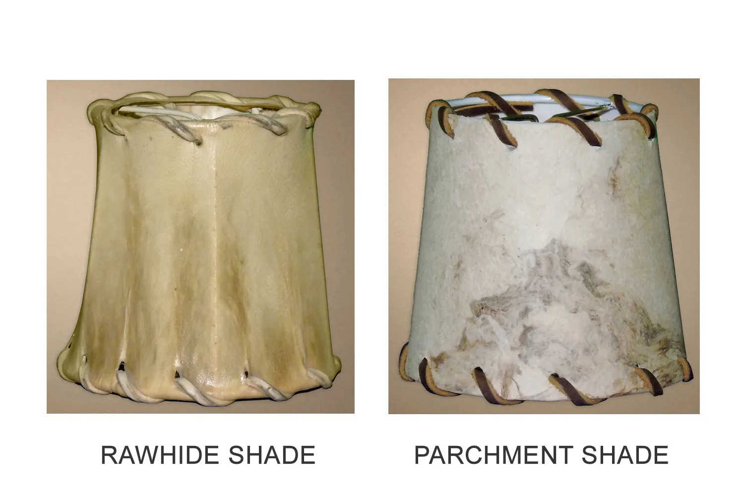 Antler Chandelier - 15 Light Mule (47"W x 44"H)
