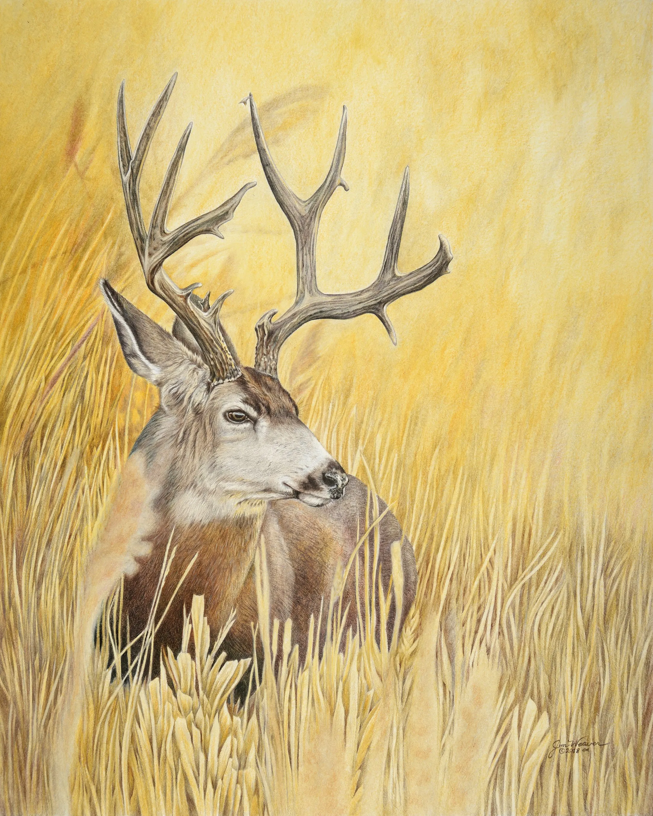 “Autumn Gold” ORIGINAL